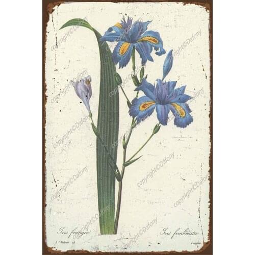 Iris Vintage Tin Sign Metal Wall Plaque Retro Art Poster Cafe Bar Pub Club Garden Farm Decor, 12x8 Inch