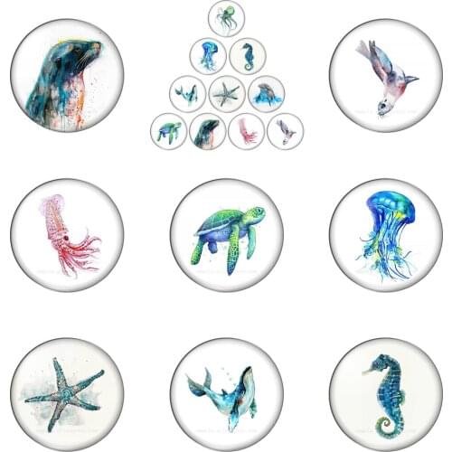 Art Sea Turtle Starfish Seahorse Sea Animals 10mm/12mm/18mm/20mm/25mm Round Photo Glass Cabochon Demo Flat Back Making Findings