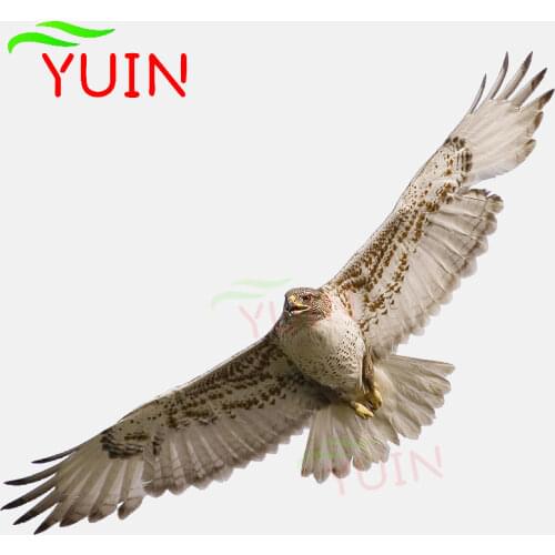 High Quality Animals Birds Eagle Car Sticker Motorcycle Cars Accessories Personalized PVC Decorative Waterproof Decal 17*6cm