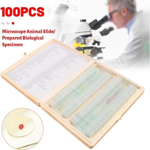 100Pcs/Set Microscope Glass Slides Sample Glass Prepared Basic Science Biological Specimen Cover Slips Wood Storage Box Portable