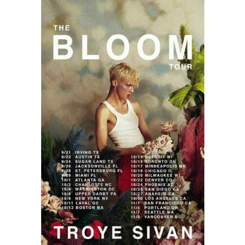 B019 Troye Sivan The Bloom Tour Music Star Singer Silk Cloth Poster Art Bedroom Decoration