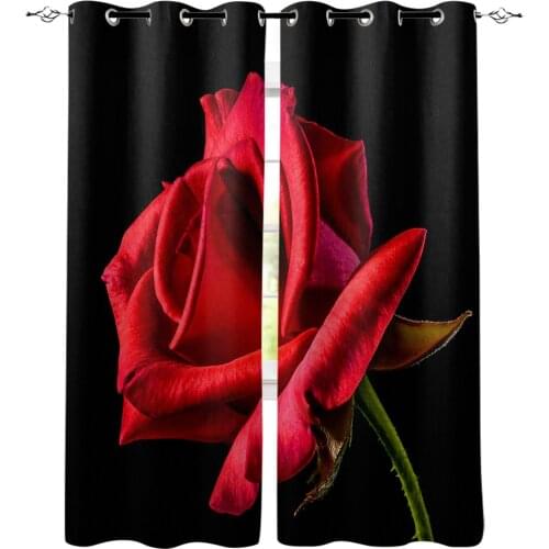 Red Rose On Black Background Window Curtain Home Decor Curtains for Living Room Bedroom Kitchen Curtain Panel