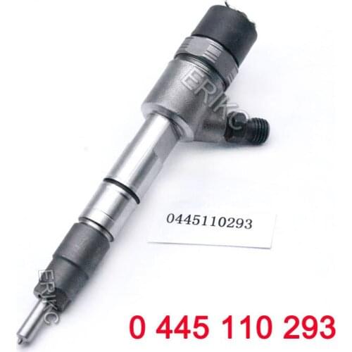 0445110293 Bico Diesel Fuel Auto Injection 0445 110 293 Common Rail Injector 0 445 110 293 for Great Wall 1112100-E06 55577668