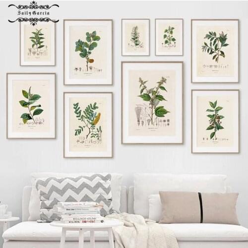 Vintage Botanical Poster and Prints Wall Art Canvas Painting Nordic Natural Medicinal Plants Wall Pictures Pharmacy Room Decor