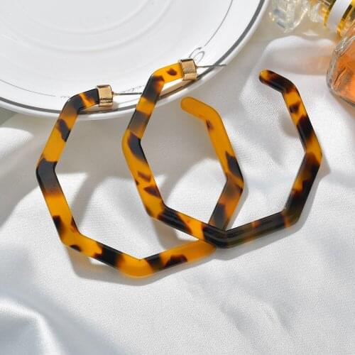 Fashion Bohemia Acrylic Acetate Hoop Earrings For Women Vintage Leopard Print Circle Hoops Alloy Earring Jewelry Female