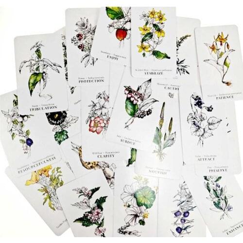 Best Selling Hedge Witch Botanical Oracle Cards 40 Pcs Wisdom From The Boundary Lands Tarot Deck Games With PDF Guidebook new
