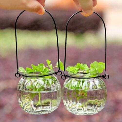 Transparent Glass Pumpkin Flowerpots Green Plant Glass Hydroponics Flower Vases For Home Decoration Green Plant Hanging Basket