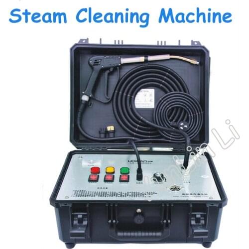 High Temperature Steam Cleaning Machine Home Appliances Hot Water Cleaning Hood Equipment Cleaner ZT-2408QXJ
