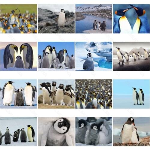 Diy Diamond Painting Penguin 2021 New Full Diamond Flower Handmade Dot Inlaid Diamond Bedroom Living Room Sticker Wall