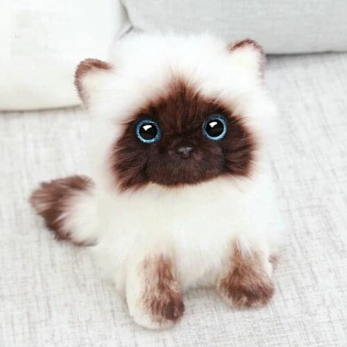 Simulation Siamese cat Plush toy Blue Sequins eyes Cat Plush Doll Brown and White Face Ragdoll plush Cat Home Decor Doll toys
