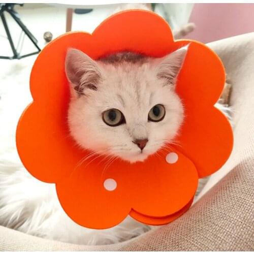 Pet Cat Collar Anti-biting and Anti-licking Protective Cover Cat Collar To Protect Kittens