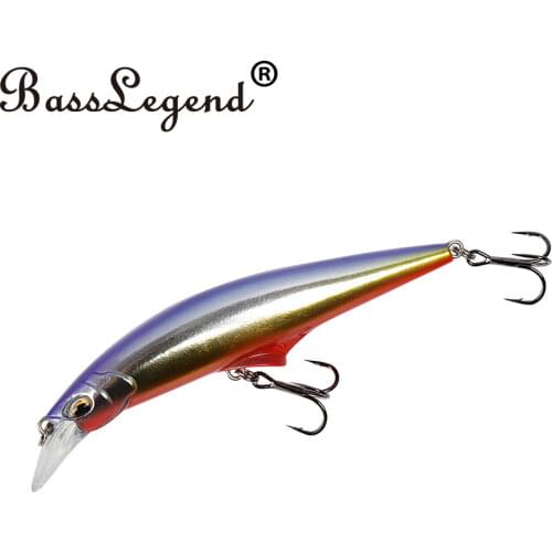 BassLegend Fishing Saltwater Lure G Control Long Cast Sinking Minnow Wire Through Sea Bass Pike Bait 95mm 28g/120mm 41g