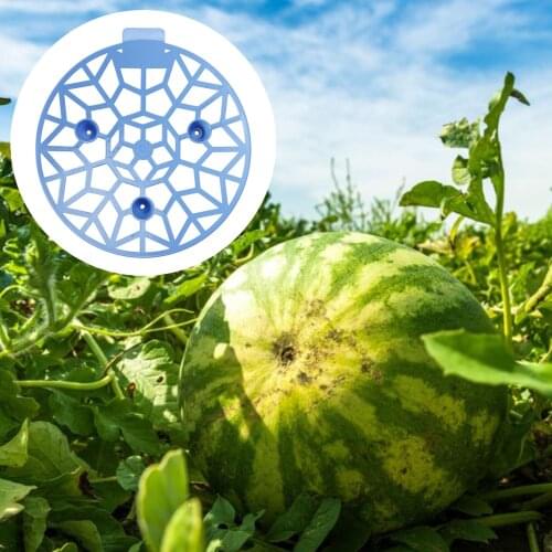 5 PCS Melons And Fruits Stand Frame Holder Plant Flower Vegetable Balcony Planting Rack Fruit Support Gardening Tool