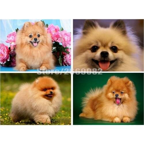 Dog Diamond Painting 5d Diy Embroidery Cross Stitch Animal Home Decoration Mosaic Diamond Art Christmas gifts TT1705