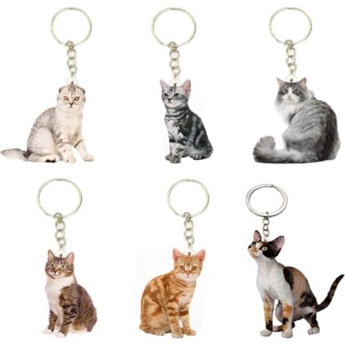 Cat Charms Animal Keychain 6pcs/set NOT 3D Llaveros Cute for Best Friends Boyfriend Gift Car Key on The Backpack Purse Anime