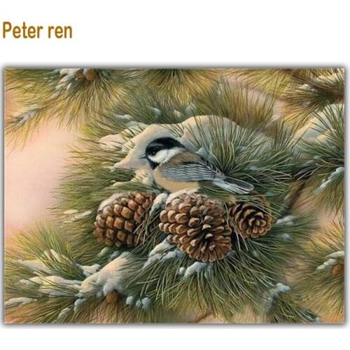 Peter ren Diy Diamond painting Cross stitch kits Round/Square Diamond mosaic Full Embroidery with diamonds "Pinecone bird snow"