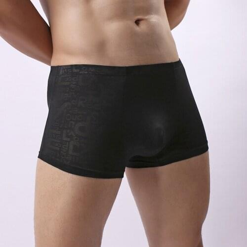 Sexy Gay Underwear Men Boxer Shorts Cueca Transparent Lace Panties Solid U Convex Pouch Low Waist Underpants calzoncillos M-XXL