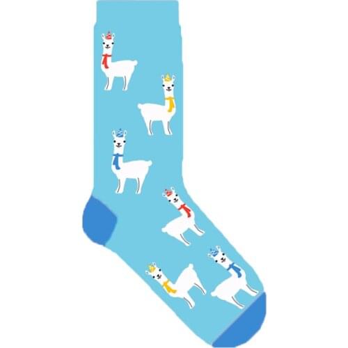 花映墙 Women's Socks With A Pattern