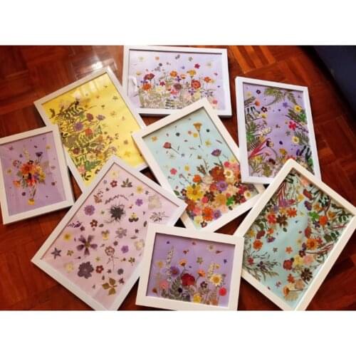 12 Piece Colorful Pressed Flower Mixed Organic Natural Dried Flowers DIY Art Floral Decors Collection Gift Best Price Wholsale