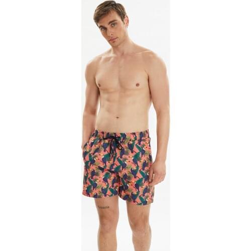 Multicolored Mens Parrot Pattern Swim Shorts Surfing & Beach Shorts Swimwear Summer Beach Style