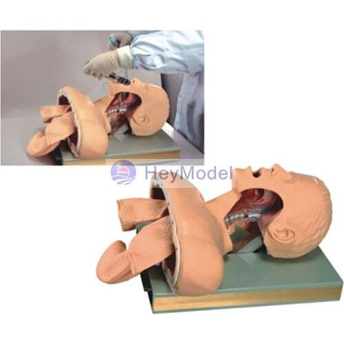 HeyModel Tracheal intubation training model (with alarm) CPR / J50 intubation training model