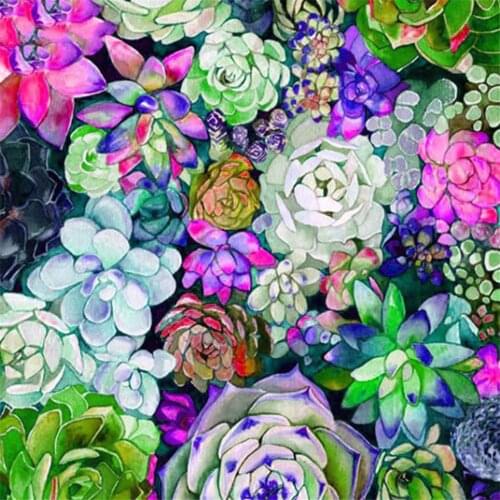 Succulent Plant Flower DIY Cross Stitch 11CT Embroidery Kits Craft Needlework Set Cotton Thread Printed Canvas Home Sell