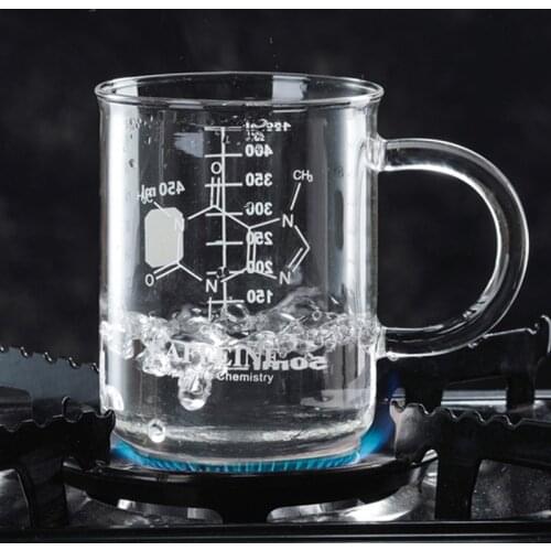 New 450mL Scale Insulation Double-Deck Glass High Borosilicate Flower Receptacle Innovative Mug Coffee Cup Double Wall Insulated