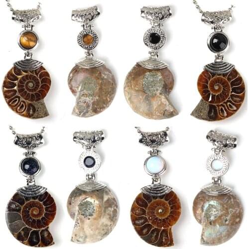 XSM Natural Ammonite Reliquiae Pendants Seashell Snail Conch Animal Fossils Unisex Pendant Vintage Jewelry Necklaces Fittings