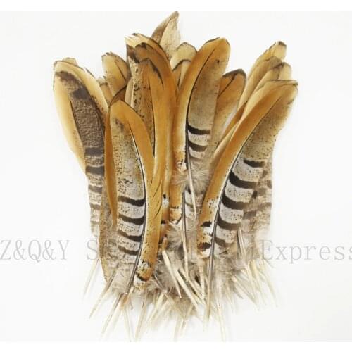 Natural 15-20CM (6-8 inches) chicken tail feathers 20-50PCS DIY performance clothing home craft accessories decorative feathers