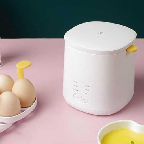 Mini Egg boiler household small two hot spring eggs soft heart eggs automatic power-off dormitory egg steamer
