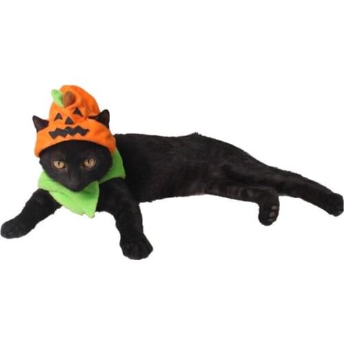 Halloween Pet Dog Cute Cat Costume Spooky Halloween Dog Cat Costume Ornaments Trick Pumpkin Hat Halloween Accessories