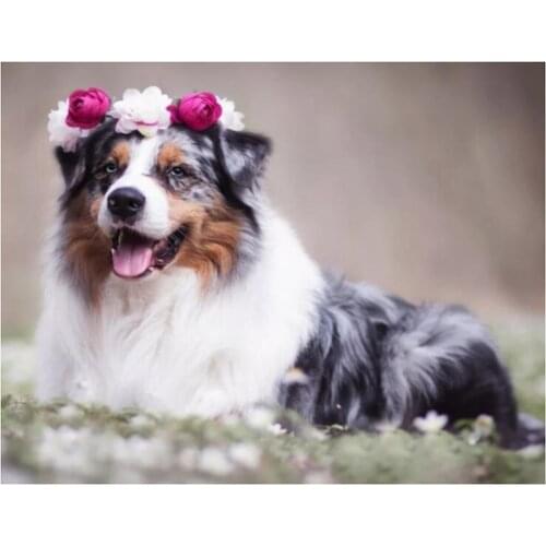 5D Diy Diamond Painting Australian Shepherd Animal Cross Stitch Mosaic diamond Embroidery SquareCircle Wedding Decoration