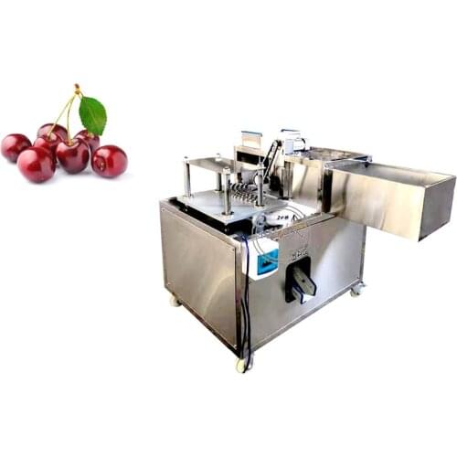 Automatic Cherry Seed Pitting Machine Electric Mini Cherries Stone Pitter for Sale