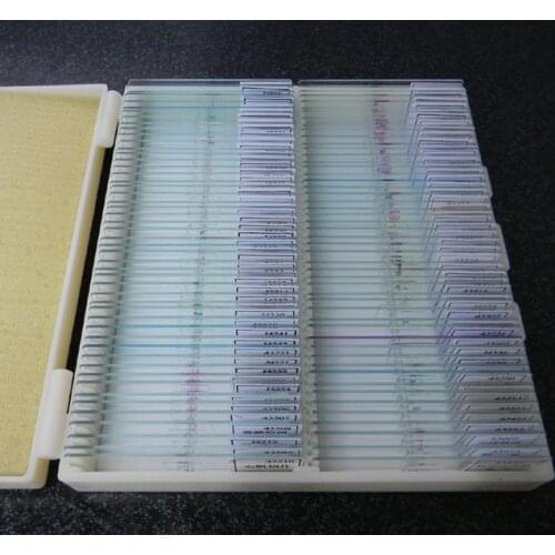 Free shipping Microscope slide 100 sets different cell slide educational equipment lab tools