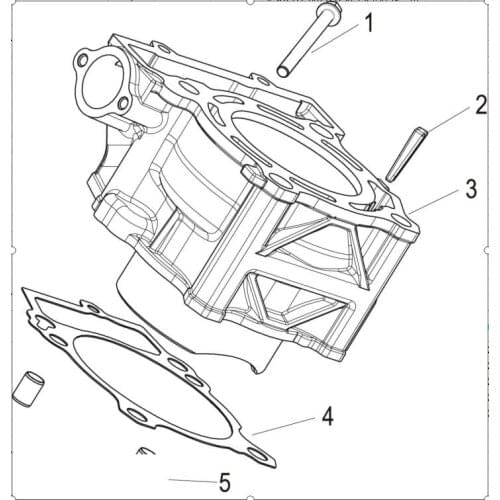 Cylinder page of Benelli TNT25