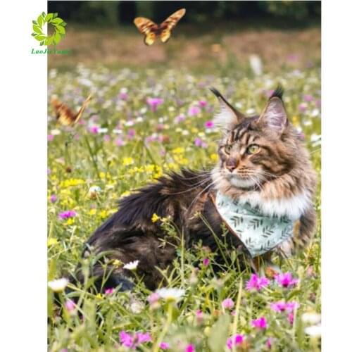 Square/Round Diamond Embroidery cat Animal Patterns Diamond Mosaic sale DIY Diamond Painting Cross Stitch Full Rhinestone