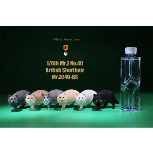Mr.Z Studio 1:6 British Shorthair Cat Figure Cute Pet Animal Model Collector Toys Gfit Simulation Home Decoration Unisex
