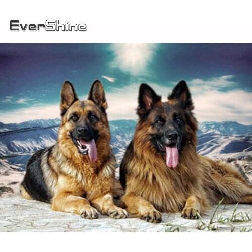 Evershine Diamond Embroidery Dog Full Square Diamond Painting Animal Cross Stitch Kit Diamond Mosaic Set Decoration Home Sale