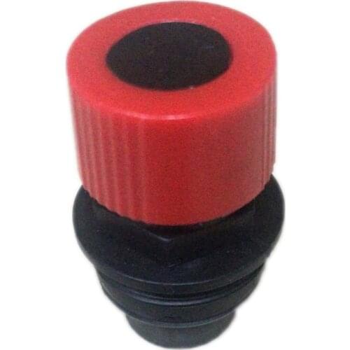 Boiler 3 Bar Safety Valve Inside