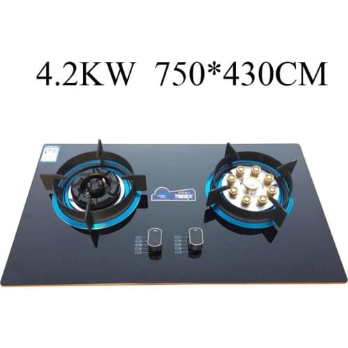 Home gas stove Double-head stove LPG gas stove Energy-saving fire stove Embedded gas stove Waterproof Plum burner