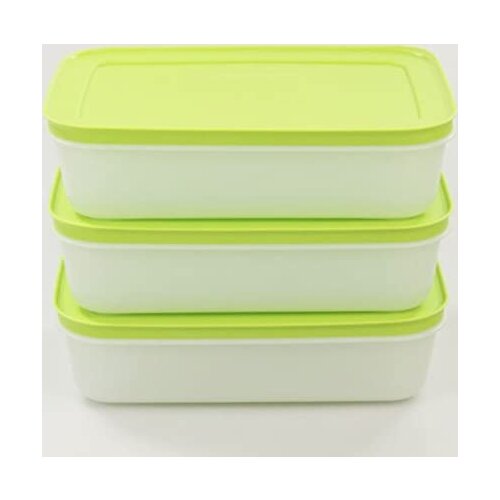 Tupperware Alaska Series Freezer Storage Container (3X1 lt)