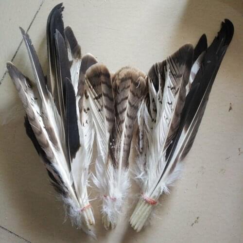 High quality set of 58pcs natural eagle feathers 20-35 cm / 8-14 inch stage diy show jewelry decoration