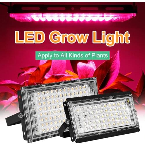 Goodland Plant Lamps