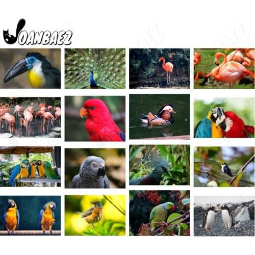 Diamond Painting Birds Beautiful Animals 5D Diy Wall Art Peacock Parrot Diamond Embroidery Inlaid Room Home Decoration Gift