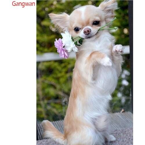 New DIY Diamond Painting chihuahua Dog Cute Pet Cross Stitch patterns beads Embroidery diamant full rhinestone kits Mosaic Decor