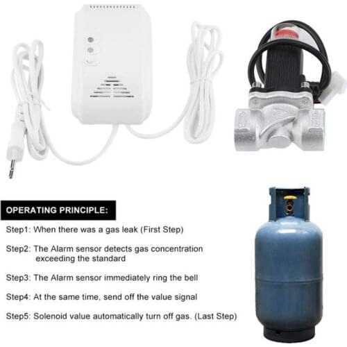 Solenoid valve natural gas alarm sensor detector House security device with solenoid valve