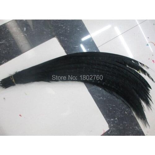 Wholesale 50 pcs rare black golden pheasant tail feather cover 32-36 inches / 80-90 cm show party decoration
