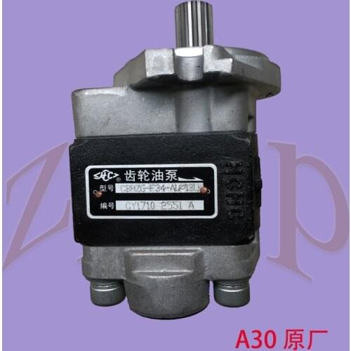 High-quality FORklift long source gear oil pump CBHZGF34AL13L is suitable FOR 3-3.5T country three Original quality accessories
