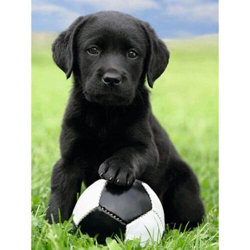 Animal Dog DIY 11CT Cross Stitch Kits Craft Needlework Set Cotton Thread Printed Canvas Home Decoration New Design Dropshipping