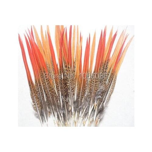 Free Shipping wholesale 200Pcs/lot Natural red tipped Pheasant tail feathers 7-10inches/17-25cm feathers For hats/masks/Crafts